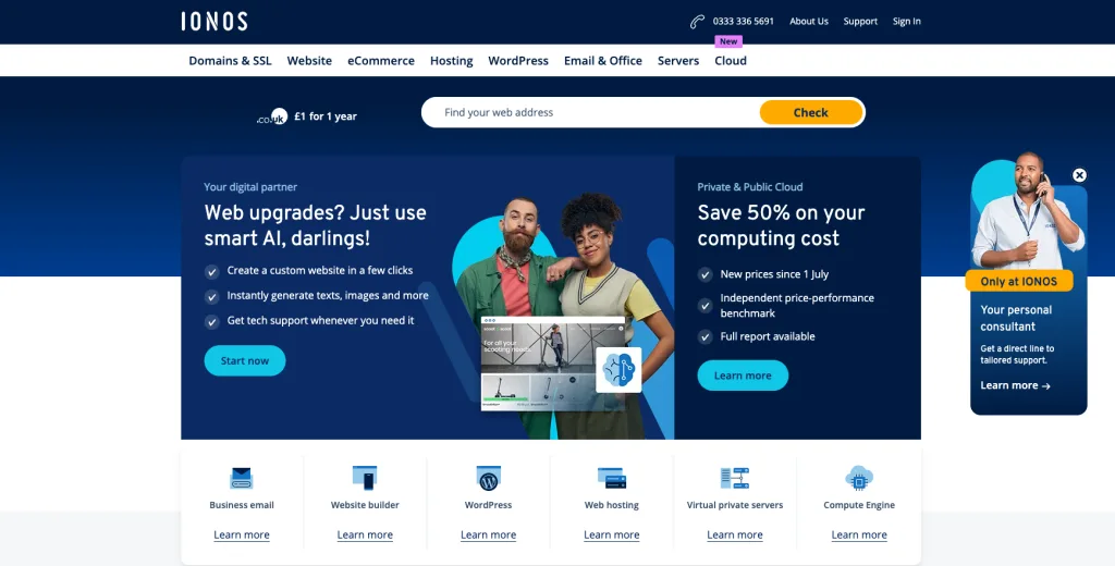 IONOS by 1 and 1 Hosting Company Website Screenshot